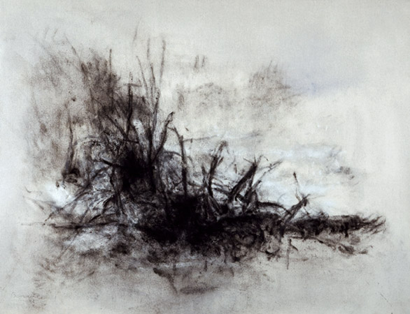 Branchage / Colle et pigments sur toile. Glue and pigments on canvas. 89x116 cm. 2001