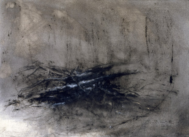 Branchage. Branches / Huile sur toile. Oil on canvas. 73x100cm. 2003