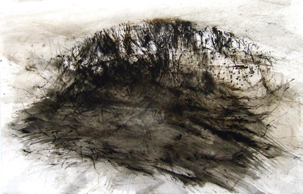 Sans-titre. Untitled / Tempera sur papier. Tempera on paper. 66x102cm. 2007