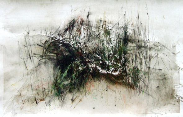 Sans-titre. Untitled / Tempera sur papier. Tempera on paper. 102x66cm. 2006