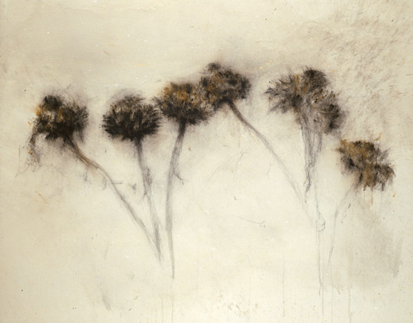 Sans-titre. Untitled. / Tempera sur toile. Tempera on canvas. 114x146cm. 2008