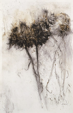 Sans-titre. Untitled / Tempera sur papier. Tempera on paper. 102x66cm. 2007