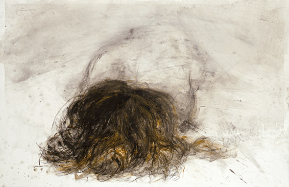 Sans-titre. Untitled / Tempera sur papier. Tempera on paper. 66x102cm. 2008