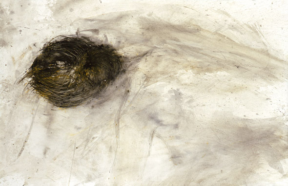 Sans-titre. Untitled / Tempera sur papier. Tempera on paper. 66x102cm. 2008