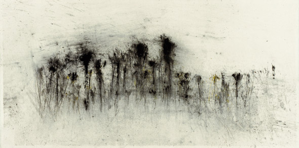Friche. Fallow land / Tempera sur papier. Tempera on paper. 33x66cm. 2010