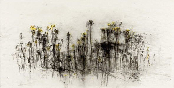 Friche. Fallow land / Tempera sur papier. Tempera on paper. 33x66cm. 2010