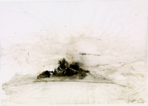 Oiseau. Bird / Rottring et tempera sur calque. Rottring and tempera on tracing paper. <br />
21x29,7 cm. 2011