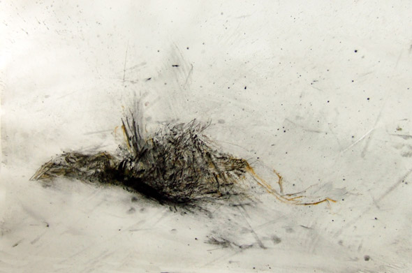 Oiseau. Bird / Tempera sur papier. Tempera on paper. 66x102 cm. 2011