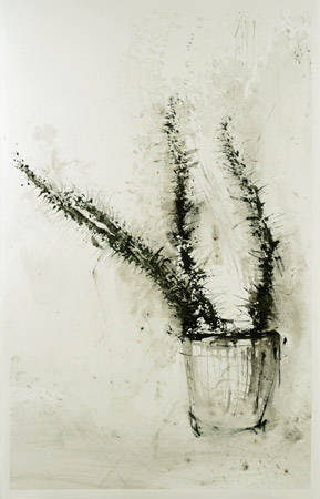 Cactus / Encre de chine, rotring et tempera sur papier. Indian ink, rotring, tempera on paper. <br />
102x66 cm. 2011
