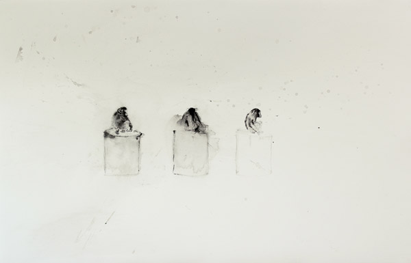 Primate / Rotring et encre de chine sur papier. Rotring, Indian ink on paper. 62x43,5 cm. 2011