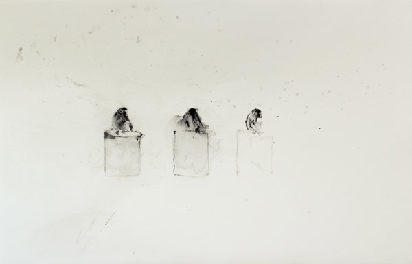 Primate / Rotring et encre de chine sur papier. Rotring, Indian ink on paper. 62x43,5 cm. 2011
