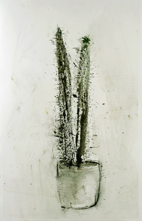 Cactus / Encre de chine, rotring et tempera sur papier. Indian ink, rotring, tempera on paper. <br />
102x66 cm. 2011