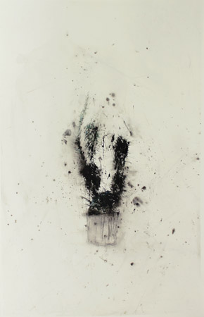 Cactus / Encre de chine, rotring et tempera sur papier. Indian ink, rotring, tempera on paper. <br />
102x66 cm. 2011