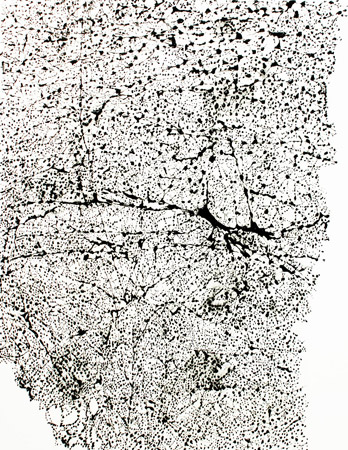 Translation V  / Acrylique sur toile - Acrylics on canvas.  116  x 89  cm. 2014