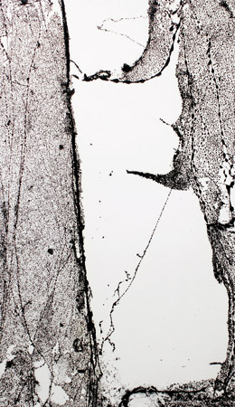 Translation IV  / Acrylique sur toile - Acrylics on canvas.  195 x 114 cm. 2015