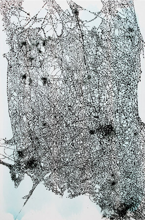 Translation X  / Acrylique sur toile - Acrylics on canvas.  146 x 97 cm. 2015