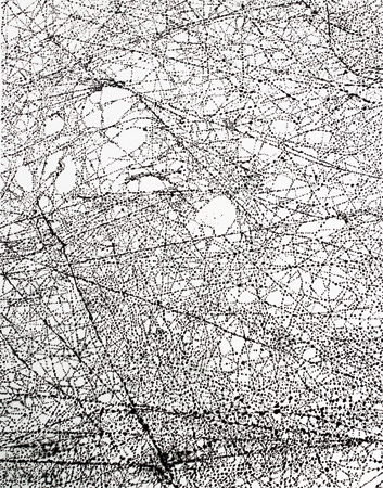 Translation III  / Acrylique sur toile - Acrylics on canvas.  146 x 114 cm. 2014