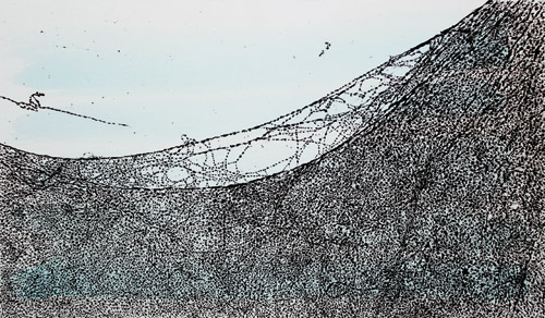 Translation XII  / Acrylique sur toile - Acrylics on canvas.  114 x 195 cm. 2015