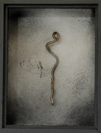 Papillon absent – Absent butterfly / Bois peint, branche vernie, toile d'araignée - Painted wood, <br />
varnished branch, spider web. 24 x 16,5 x 10 cm. 2014 