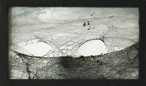 Paysage V - Landscape V / Encre de chine sur toile d'araignée, montée sur châssis - <br />
Ink on spider web, set on canvas. 7 x 11 cm. 2014